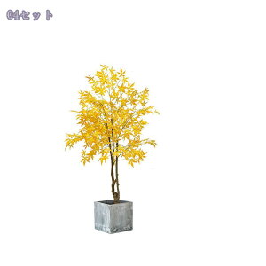 2000~OFFN[| lHϗtA ^ tFCNO[ { IV p  ֐ rO xbh[ JtF  ItBX z[ fR[V Vzj JƏj 