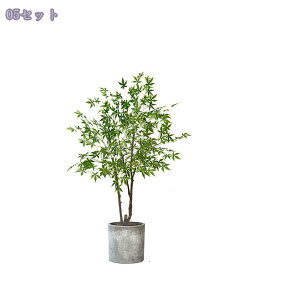 lHϗtA ^ tFCNO[ { IV p  ֐ rO xbh[ JtF  ItBX z[ fR[V Vzj JƏj gt   