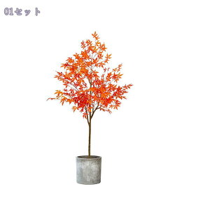 1000~OFFN[| tFCNO[ ^ Ă悤 u Ɩp Xg t ֑Ή oRj[ p[e[V tFCNO[ ^ S₷炮 ӏ g