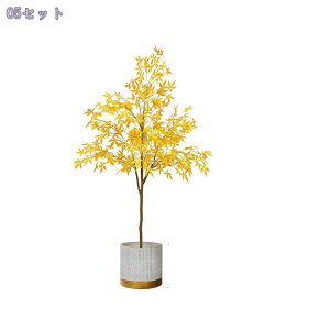 2000~OFFN[| tFCNO[ ^ y K̖  Ƃ̒ɒu X^h @ׂȗt A Ԕ y X^h lH~ n zer[ ꂪȒP LO