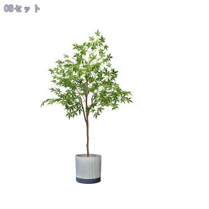 2000~OFFN[| tFCNO[ ^ y K̖  Ƃ̒ɒu X^h @ׂȗt A Ԕ y X^h lH~ n zer[ ꂪȒP LO