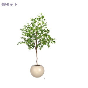 tFCNO[ ^ y K̖  Ƃ̒ɒu X^h @ׂȗt A Ԕ y X^h lH~ n zer[ ꂪȒP LÔj ȒP