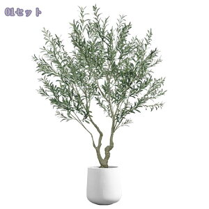 1000~OFFN[|  I[uc[ ^tFCNO[ ϗtA rO[ Ǝ{ݗp CeA t  ƒ 悯oRj[  Iȑ z̃Mtg