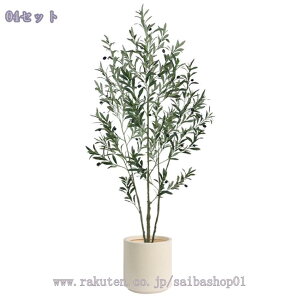 1000~OFFN[| tFCNO[ ^ { ^A  rO CeA \t@ er{[h R[i[ RȎp Adl R̎ CȃO[ t