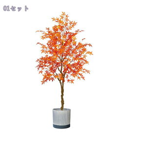 1000~OFFN[| tFCNO[ ^ A   rO CeA  ֐ \t@ er{[h R[i[ { A RȎp ͂Ȃ lHϗtA