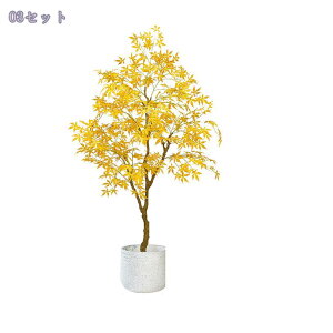 2000~OFFN[| tFCNO[ ^ CeA  A ׂ} ͂Ȃ  X܃fBXvC ƖpΉ JXj JƏj Vzj i  X Cxg RȎ 