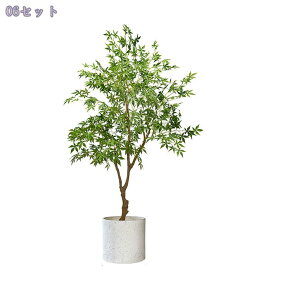 1000~OFFN[| tFCNO[ ^ CeA  A ׂ} ͂Ȃ  X܃fBXvC ƖpΉ JXj JƏj Vzj i  X Cxg RȎ 