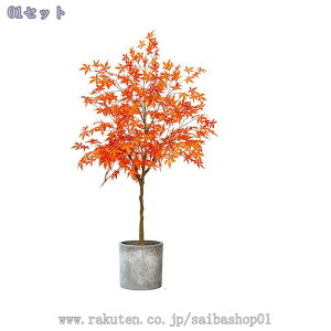 2000~OFFN[| tFCNO[ ^ y K̖  Ƃ̒ɒu X^h @ׂȗt A Ԕ y X^h lH~ n zer[ ꂪȒP LO