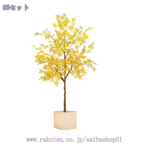 2000~OFFN[| ^ lHϗtA tFCNO[ CeA  rO ItBX u  k X^h^Cv ׂ} ͂Ȃ Ƃ AȐFƎ Ce