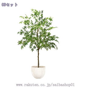 2000~OFFN[| tFCNO[ ^ y K̖  Ƃ̒ɒu X^h @ׂȗt A Ԕ y X^h lH~ n zer[ ꂪȒP LO