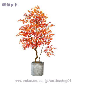 1000~OFFN[| ^ lHϗtA  CeAO[ ~͐A tA|[` ItBX  rO z[ X^hA ͂Ȃ  O z[ Vzj zj 