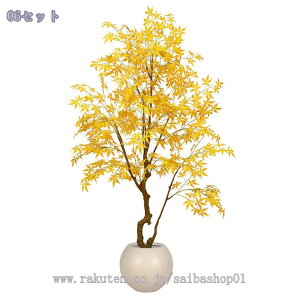 2000~OFFN[| ^ lHϗtA  CeAO[ ~͐A tA|[` ItBX  rO z[ X^hA ͂Ȃ  O z[ Vzj zj 