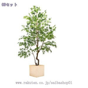 2000~OFFN[| ^ lHϗtA  CeAO[ ~͐A tA|[` ItBX  rO z[ X^hA ͂Ȃ  O z[ Vzj zj 