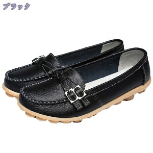 500~OFFN[|  Xb| fB[X Xj[J[ [t@[ EhgD tbgV[Y ؂ JWA  ʊw s y ʋC [Jbg 傫TCY JV x