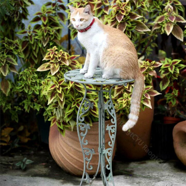 楽天市場】1000円OFFクーポン 優美な猫脚花台 フラワースタンド 