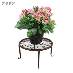 760~OFFN[| a24CM ԑ ACA t[X^h ϗtA Aؔ Lrtu v[g  K[fjO AeB[N  O  a24CM ACAt[ X^