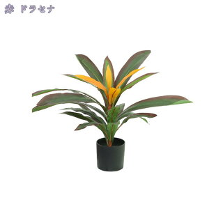 777~OFFN[| lHϗtA tFCNO[ ϗtA p  ϗtA p ϗtAtFCN  Vv ItBX  CeA j ̓ JƏj zj 