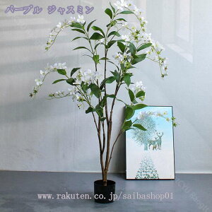 1000~OFFN[| tFCNO[ ϗA lHϗt ϗtA Vv tFCNϗtA ^ lHϗtA p ItBX  CeA  CeA tFCNO