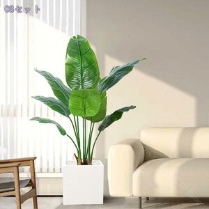 2000~OFFN[| { tFCNO[ lHϗtA ^ tFCN ϗtA CeA  lHϗt sv ͂Ȃ QȂ lHϗtA  ItBX