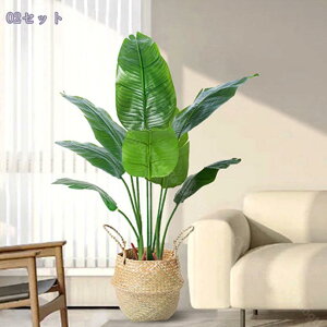 1000~OFFN[| tFCNO[ ϗA lHϗt ϗtA Vv tFCNϗtA ^ lHϗtA p ItBX  CeA  CeA tFCNO