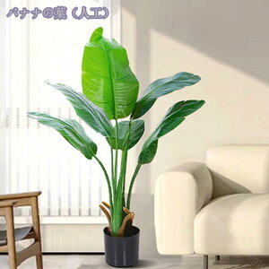 1000~OFFN[| { tFCNO[ lHϗtA ^ tFCN ϗtA CeA  lHϗt sv ͂Ȃ QȂ lHϗtA  ItBX