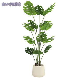 2000~OFFN[| tFCNO[ ^  lHϗtA Vz JX J j a Cxg  rO  뉀 ItBX A lH i` A b炸 ϗt