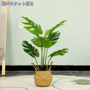 2000~OFFN[| tFCNO[ ^  lHϗtA Vz JX J j a Cxg  rO  뉀 ItBX A lH i` A b炸 ϗt