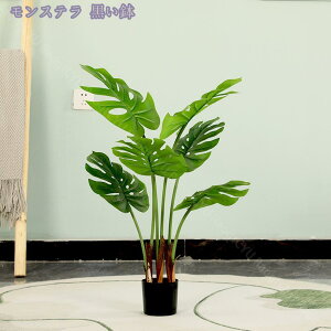 1000~OFFN[| lHϗtA tFCNO[ ^ CeAO[ K̖ rO ItBX  Vbv  lHϗtA /Ogp rO  JXj Vz