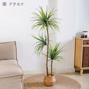 lHϗtA tFCNO[ ^ lHA lH CeA ϗtA lHϗtA 傫Ηt j 킢 lHϗt ɏA Vv ItBX  Q CeA 