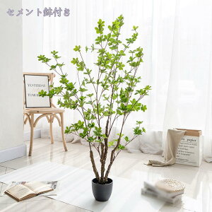 lHϗt lHϗtA tFCNO[ ^ { Vv  b炸 sv ItBX  rO    zj Vzj y tFCNϗt