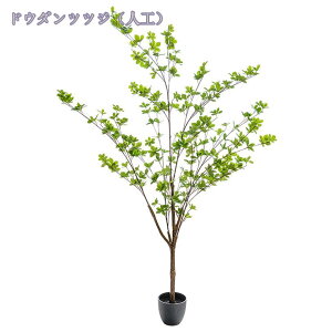 1000~OFFN[| lHϗA tFCN O[ ϗtA A[gO[ ϗtA CeA Ύ i` lHϗtA tFCN lHϗtA ϗtA Vv tFCNO[