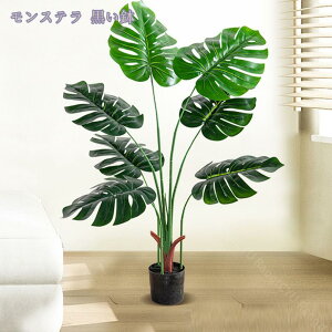 tFCNO[ ϗtA tFCN lHϗtA ^ CeA A  j Vv ItBX  rO  sv ͗lւ  p G  傫 l