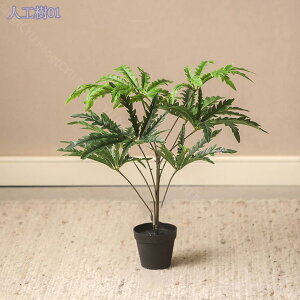 1000~OFFN[| lHϗtA A lHA CeA ϗtA A̐A b炸 sv tFCNO[ t ItBX z[ fR[V Vv  