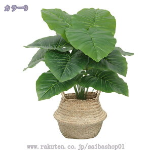 300~OFFN[| ϗtA tFCNO[ t ϗtA ^ lHϗA lHϗt Vv A   sv CeA  rO  JXj Vzj 