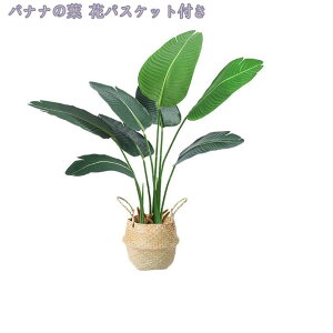 1000~OFFN[| lHϗtA tFCNO[ 傫 CeA  ItBX rO ΂̂炵 CeAO[ ϗtA A zj Vzj ȒP 