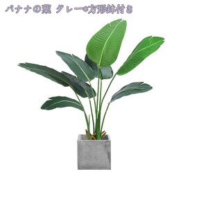 1000~OFFN[| lHϗtA tFCNO[ 傫 CeA  ItBX rO ΂̂炵 CeAO[ ϗtA A zj Vzj ȒP 