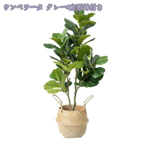 1000~OFFN[| tFCNO[ 傫 lHϗtA A  ze CeA X X GgX c Ή E P vX`bN tFCN A b炸