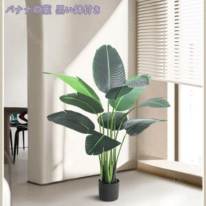 lHϗtA 傫 {  ډB tFCNO[ ^ lHA CeA ϗtA rO c lHA tFCNO[ j v[g Mtg zj V