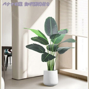 1600~OFFN[| lHϗtA 傫 {  ډB tFCNO[ ^ lHA CeA ϗtA rO c lHA tFCNO[ j v[g Mt