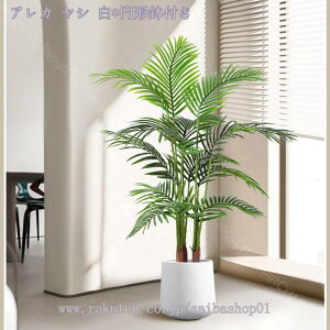 2000~OFFN[| lHϗtA ^ 傫  { tFCNO[ lHϗt A CeA  p ItBX JXj v[g ȒP s