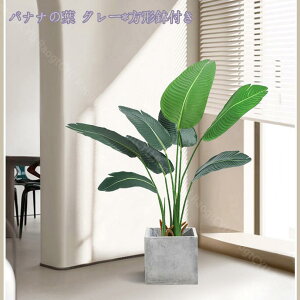 1000~OFFN[| lHϗtA 傫 tFCNO[ ϗtA p  lHϗtAtFCN  Vv ItBX  CeA sv ͂Ȃ ~͐A gsJ