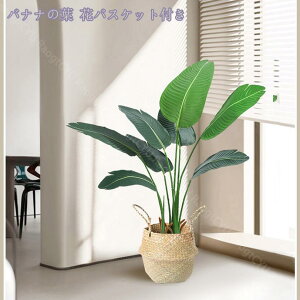 1000~OFFN[| lHϗtA 傫 tFCNO[ CeA b炸  sv ͂Ȃ lH tFCNA  ϗtA tFCNc[ I ItBX 