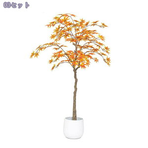 2000~OFFN[| tFCNO[ 傫 lHϗtA CeA  ItBX  vX`bN lHϗtA   ϗtA A V~[VA e[ufR[V