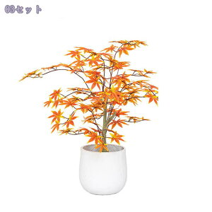 2000~OFFN[| lHϗtA tFCNO[ ^ lHA ϗt CeAO[  ItBX   ȒP   ƒ 悯oRj[ Iȑ z̃M