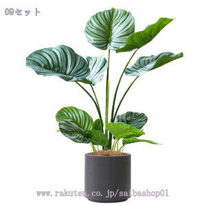 1000~OFFN[| tFCNO[ 傫 ^ ϗtA tFCN A  CeA lHϗtA  ډB rO   ͗lւ ItBX G  X Gg