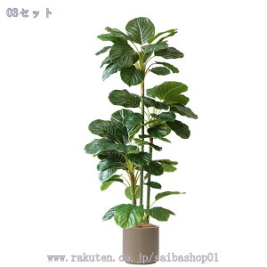 tFCNO[ ^ 傫 ϗtA A lHϗtA tFCNO[ CeA ȒPb炸 sv ItBX z[ fR[V CeA sv b