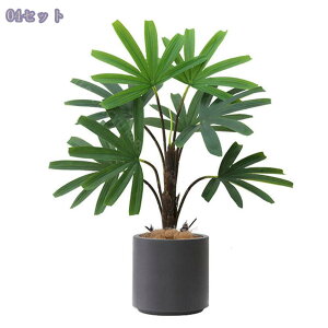 2000~OFFN[| tFCNO[ 傫 lHϗtA CeA  ItBX  vX`bN lHXe lHϗtA   ϗtA 㔫A V~[VA