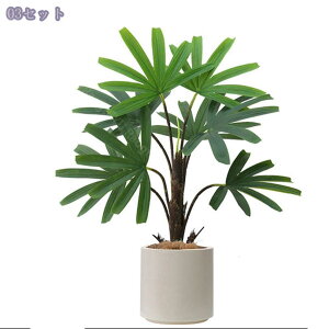 2000~OFFN[| tFCNO[ 傫 lHϗtA CeA  ItBX  vX`bN lHXe lHϗtA   ϗtA 㔫A V~[VA