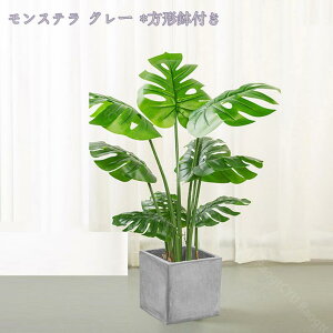 1000~OFFN[| tFCNO[ lHϗA ^ A lHϗt Vv ItBX  CeA  v[g ȒP sv oL ̓ j 蕨 J