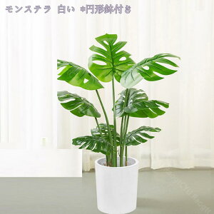 tFCNO[ lHϗA ^ A lHϗt Vv ItBX  CeA  v[g ȒP sv oL ̓ j 蕨 JXj JƏj 